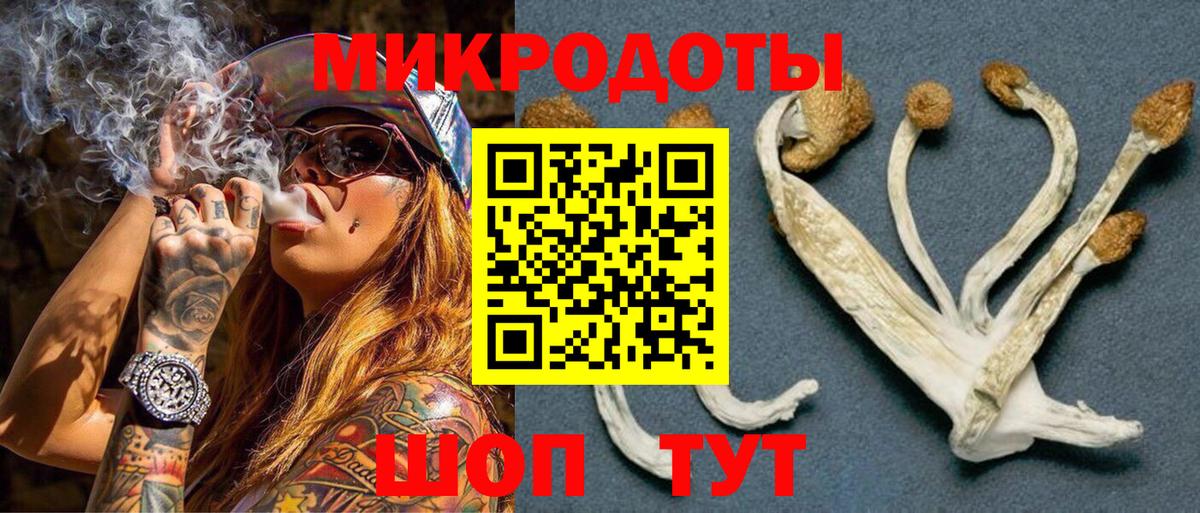 Галлюциногенные грибы MAGIC MUSHROOMS Сальск