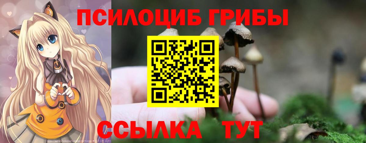 Сальск  Псилоцибиновые грибы ЛСД  Вход с VPN 
